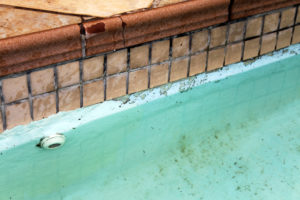 Cracked and Damaged Tiles and Pool Requiring Maintenance