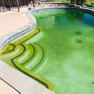 Pool Cleaning Services in Winter Haven, FL